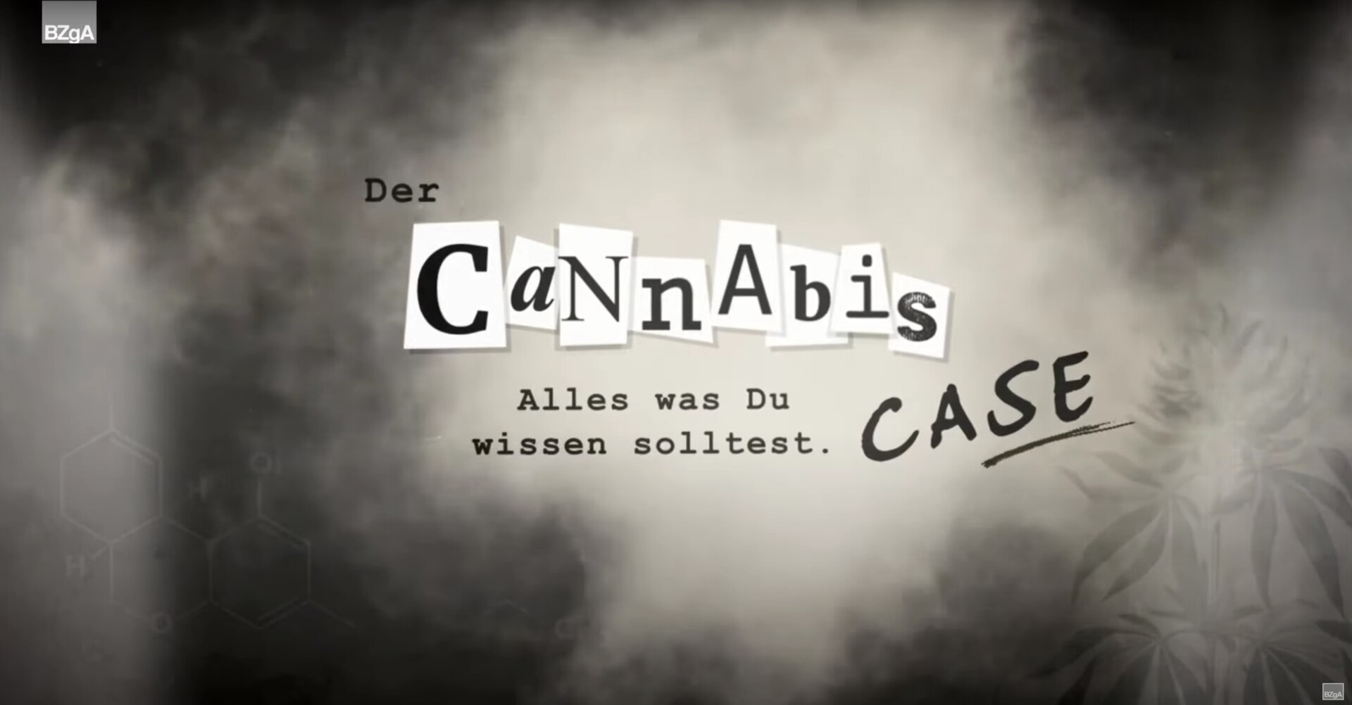 Der Cannabis Case – Alles was Du wissen solltest.